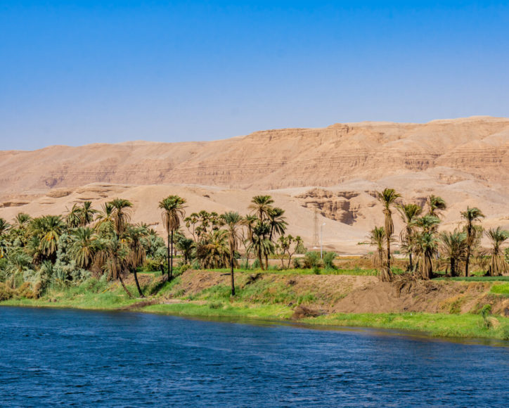 Die Ägypter kennen Basilikum, das „Königskraut“, seit 3.000 Jahren, wie Grabfunde belegen. Zu Kränzen geflochten sollte es böse Dämonen fernhalten.
Heute liegen in dem Nil-
Land die weltweit größten
Anbaugebiete
für Basilikum.