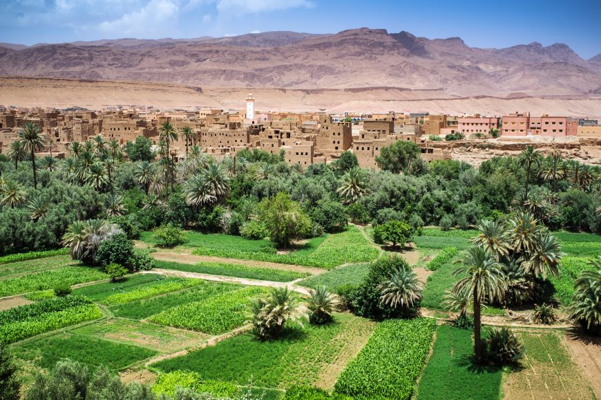Oasis,In,The,Dade,Valley,,Morocco