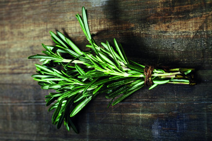 Auch Rosmarin besitzt harzige Aromen und harmoniert mit allem, was im Wald zu  Hause ist. Dazu passt die würzige Frische  von Thymian oder auch Salbei. 